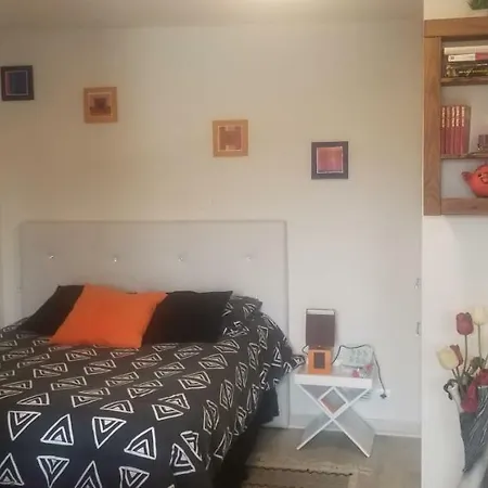 Studio 1 * Saint-Martin-la-Plaine