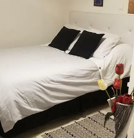Studio 1 Appartement Saint-Martin-la-Plaine
